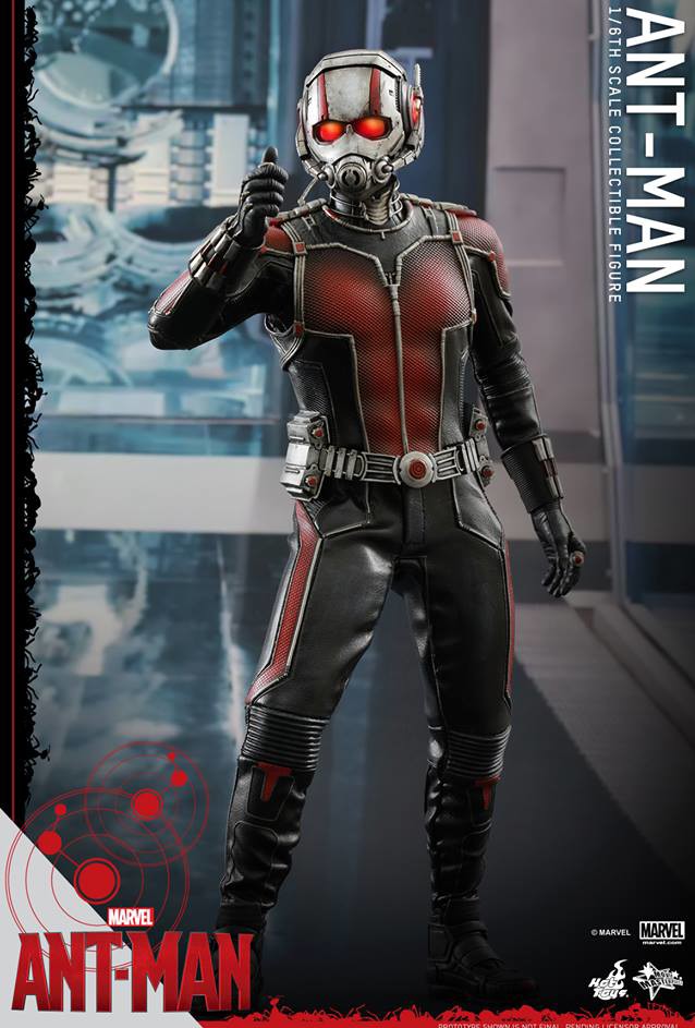 Ant-Man Hot Toys Movie Masterpiece Series Sixth Scale Figure