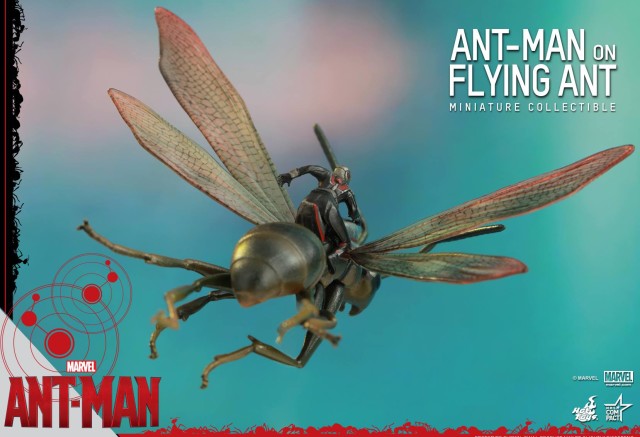 Back of Hot Toys Antony the Flying Ant Toy