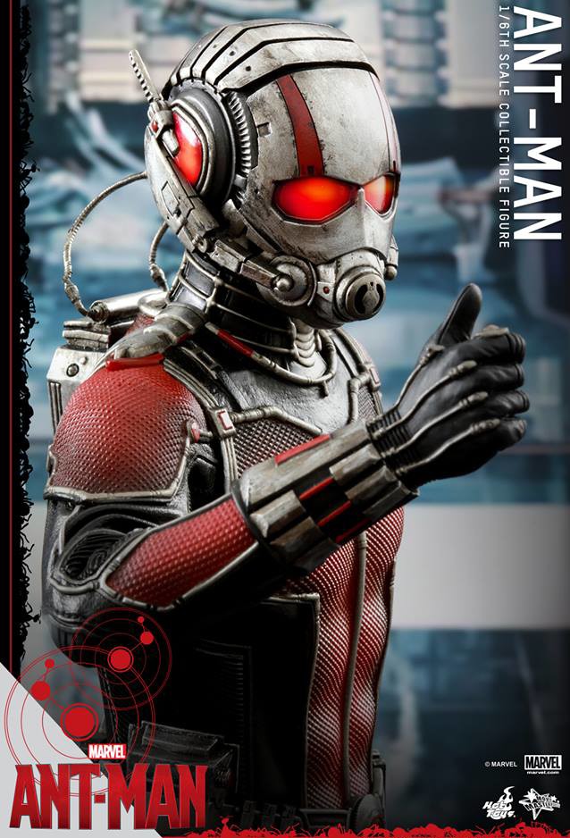 HOT TOYS 1/6 MARVEL ANT-MAN MMS308 ANT-MAN SCOTT LANG MOVIE ACTION