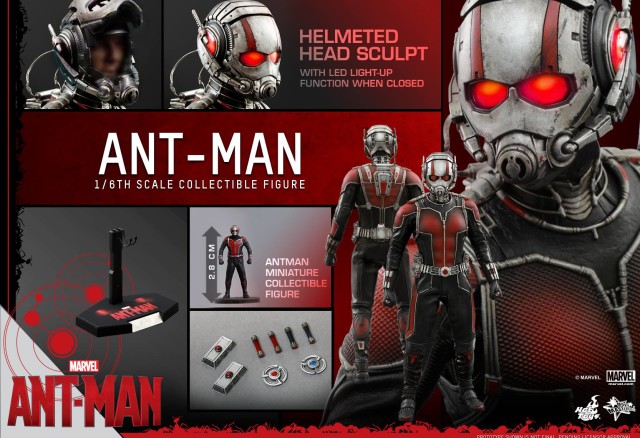 Hot Toys Ant-Man Sixth Scale Figure and Accessories