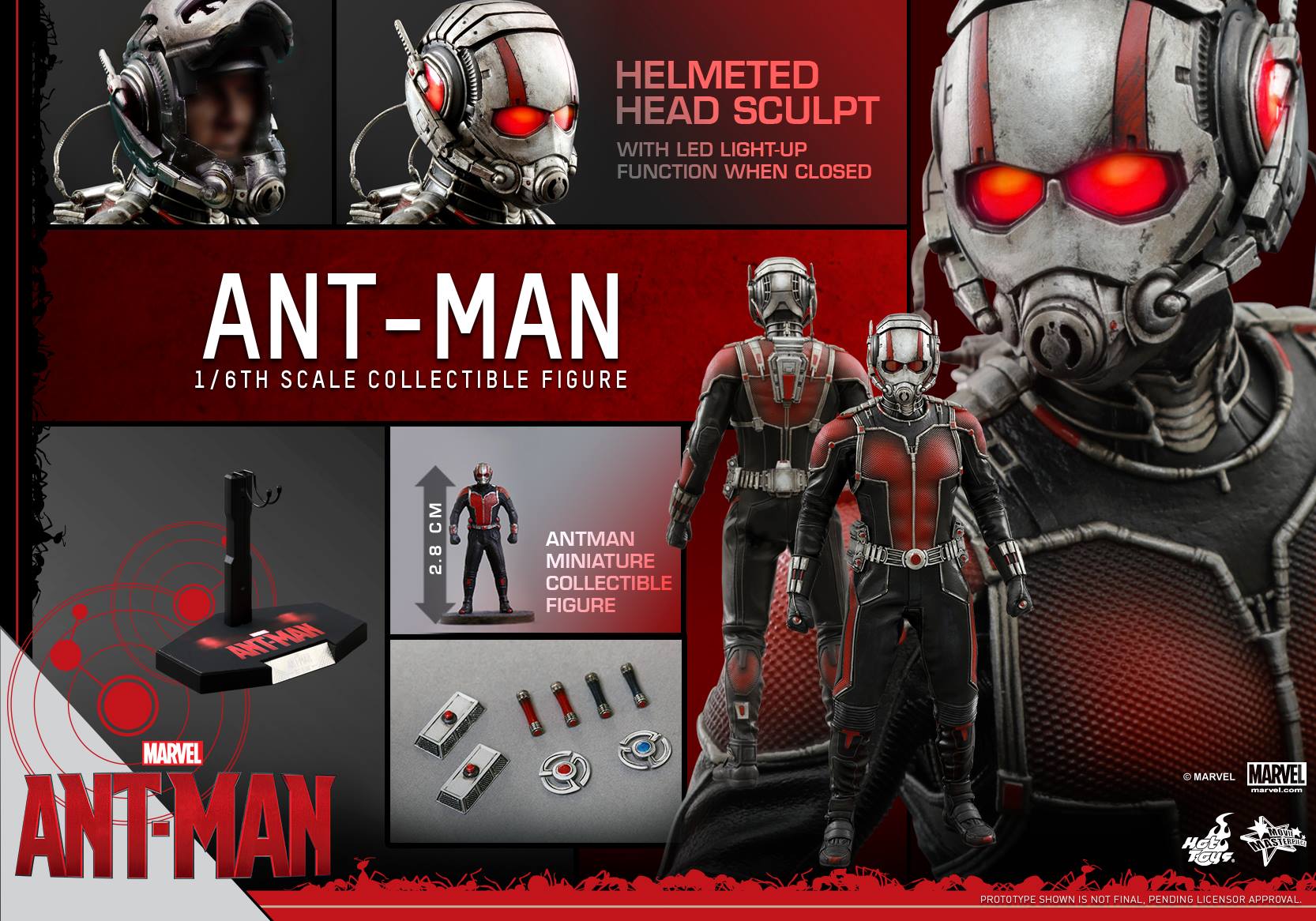 http://marveltoynews.com/wp-content/uploads/2015/07/Hot-Toys-Ant-Man-Sixth-Scale-Figure-and-Accessories.jpg