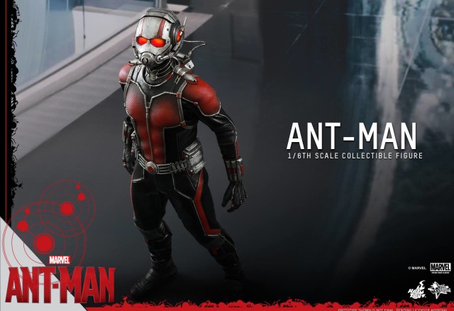 Hot Toys MMS308 Ant-Man Sixth Scale Figure