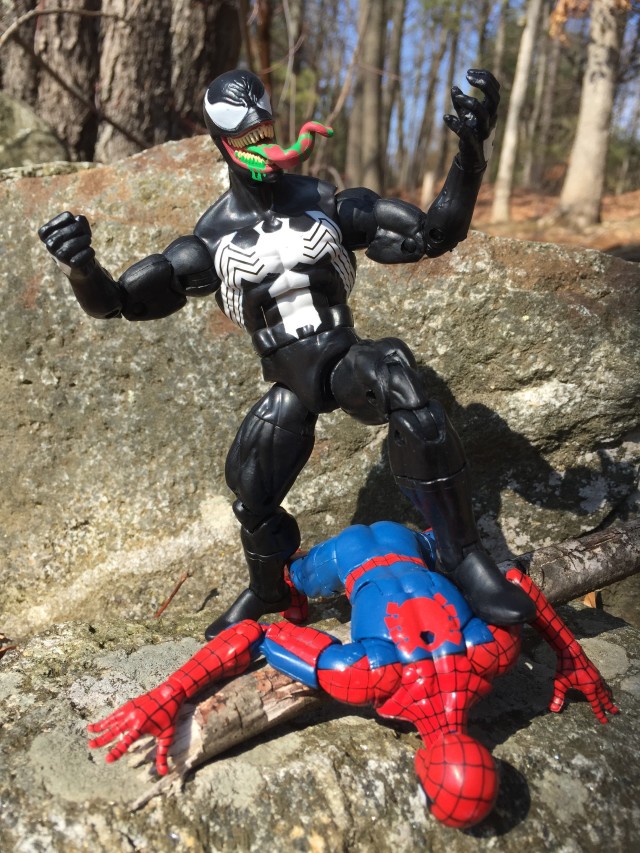 Hasbro 2016 Marvel Legends Venom vs. Spider-Man 6" Figures