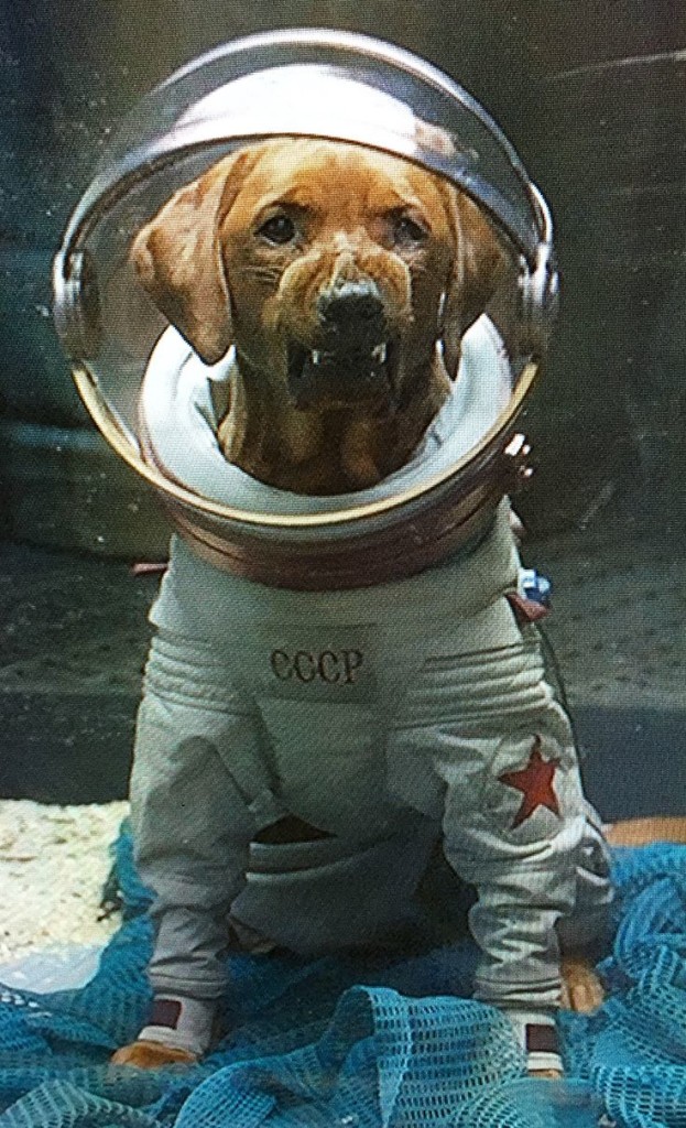 Guardians of the Galaxy Movie Cosmo the Space Dog