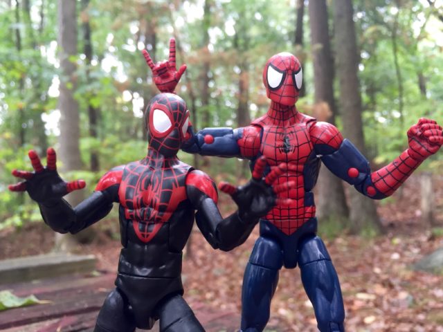 Marvel Legends Miles Morales and Peter Parker Spider-Man Figures Size Comparison