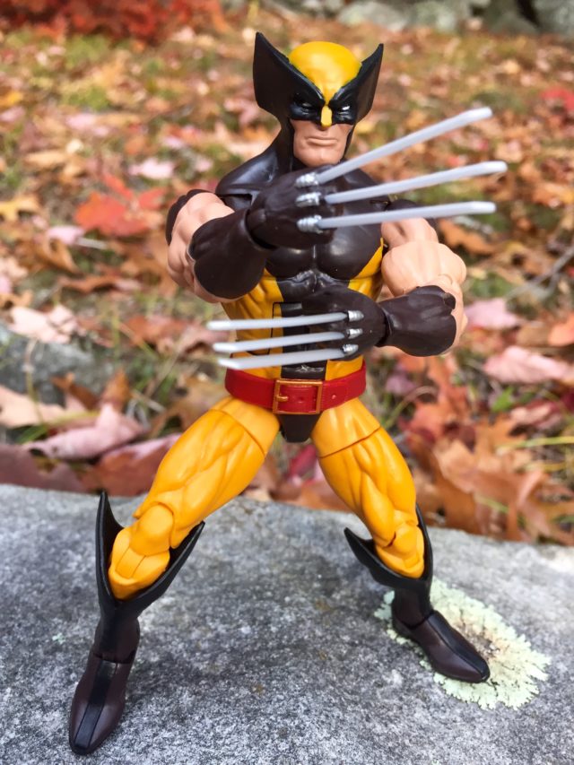 6" Marvel Legends Wolverine Brown Costume Claws