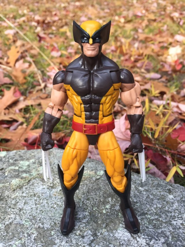 Marvel Legends 2016 Brown Costume Wolverine Figure