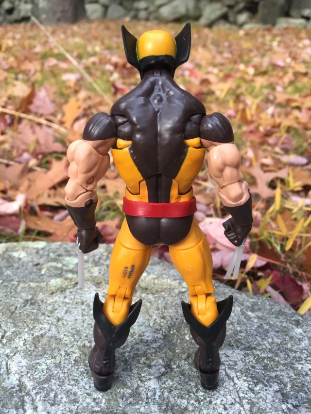 Back of Marvel Legends X-Men Wolverine Figure