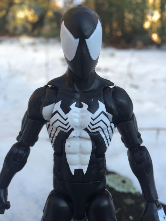 Close-Up of Hasbro Marvel Legends 6' Symbiote Spider-Man Figure