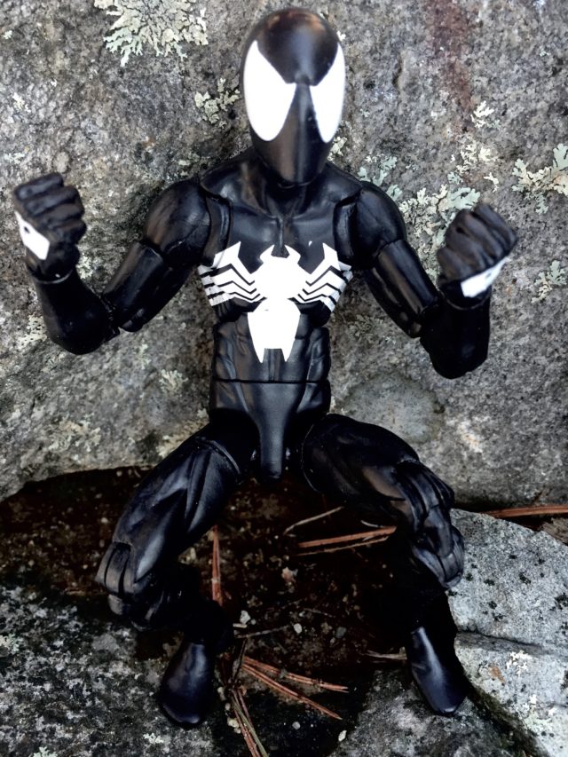 Hasbro Marvel Legends 2017 Black Costume Spider-Man Six Inch Figure