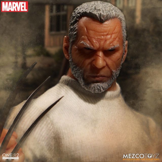 Close-Up of Old Man Logan ONE 12 Collective Figure Head