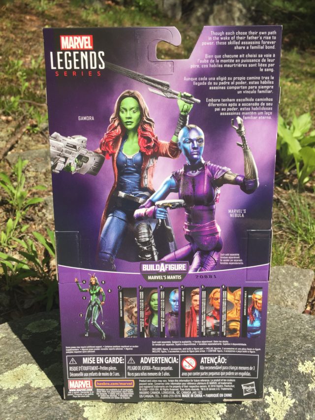 Back of Box Gamora Marvel Legends Guardians of the Galaxy 2 Figure