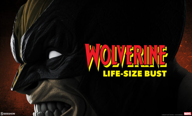 Sideshow Wolverine Life Size Bust 12 Days of Sideshow Teaser