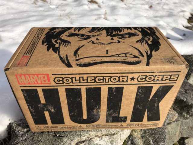 Marvel Collector Corps Hulk Box Review Spoilers Unboxing Photos