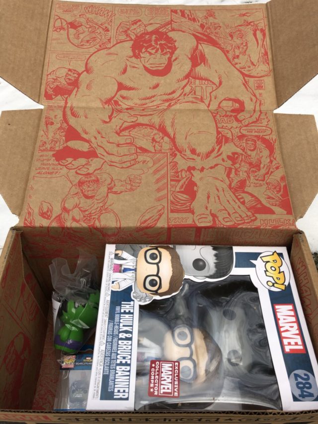 Hulk Collector Corps Box Unboxing Photos