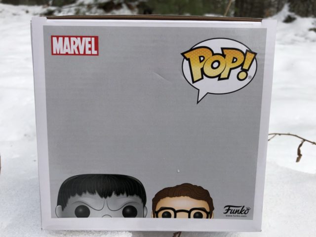 Box Top Bruce Banner Hulk 6" POP Exclusives MCC