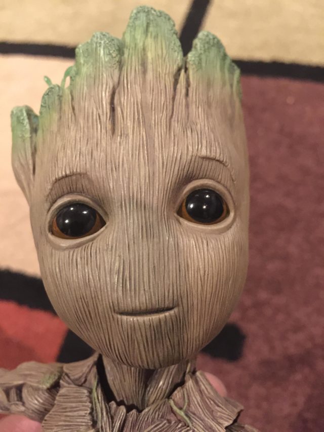 Close-Up of Hot Toys Groot Life Size Head