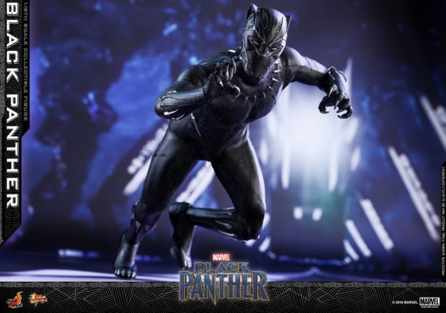 Hot Toys Black Panther Movie Sixth Scale Figure