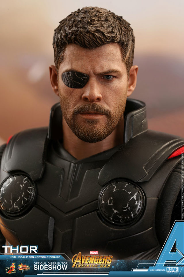 Chris Hemsworth Thor Portrait on Hot Toys Avengers 3 Figure