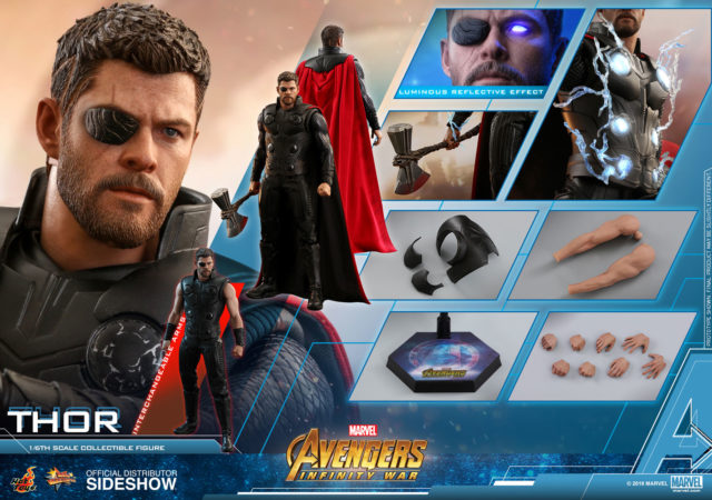 Hot Toys Infinity War Thor Sixth Scale Figure and Accessories