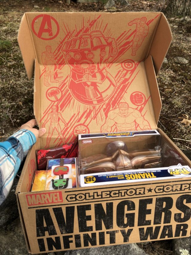 REVIEW Funko Infinity War Marvel Collector Corps Box
