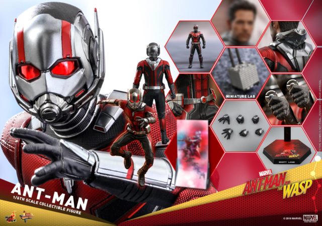 Hot Toys Ant-Man and the Wasp Ant-Man Figure and Accessories