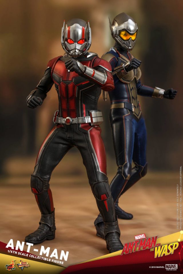 Hot Toys Antman and Wasp Sixth Scale Figures 2018