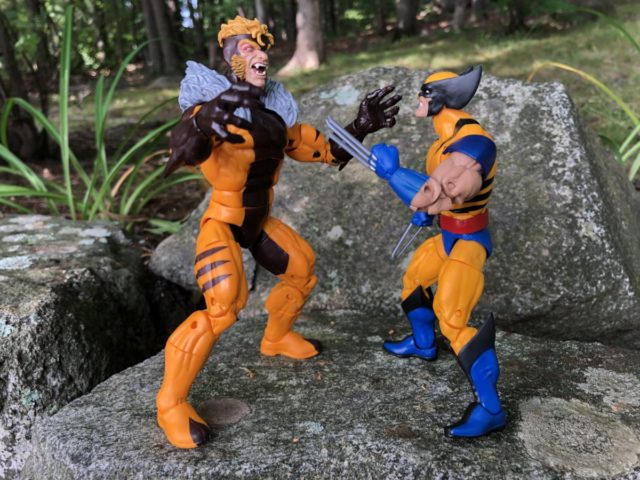 Size Comparison Marvel Legends Apocalypse Series Sabertooth and Wolverine Figures