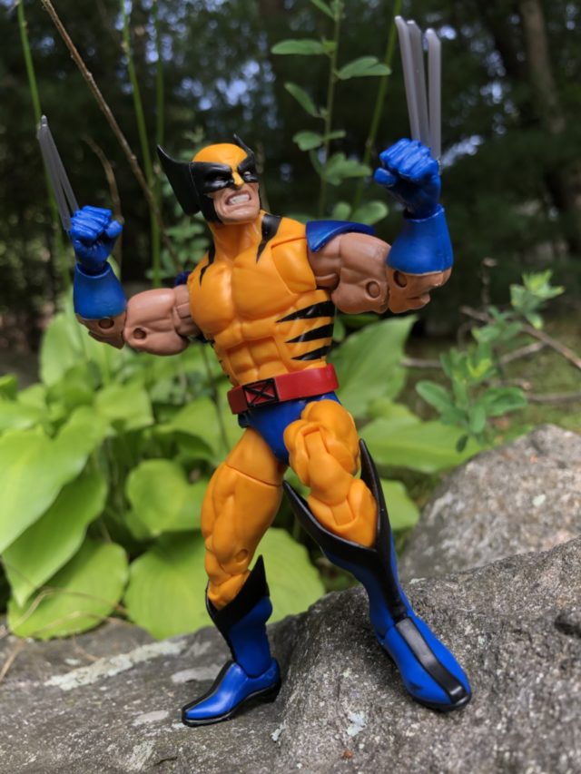 Review Marvel Legends X-Men Wolverine Apocalypse Series Figure
