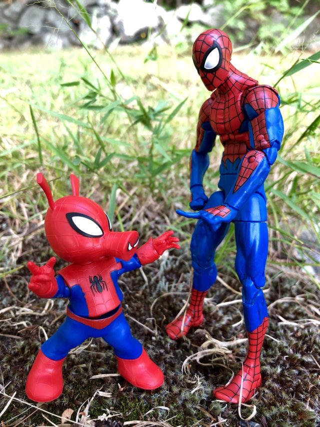 Size Comparison Marvel Legends Spider-Man and Spider-Ham