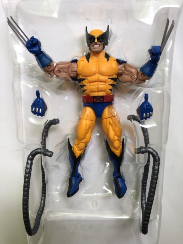 Marvel Legends X-Men 2018 Wolverine Figure and Accessories Apocalypse Coils