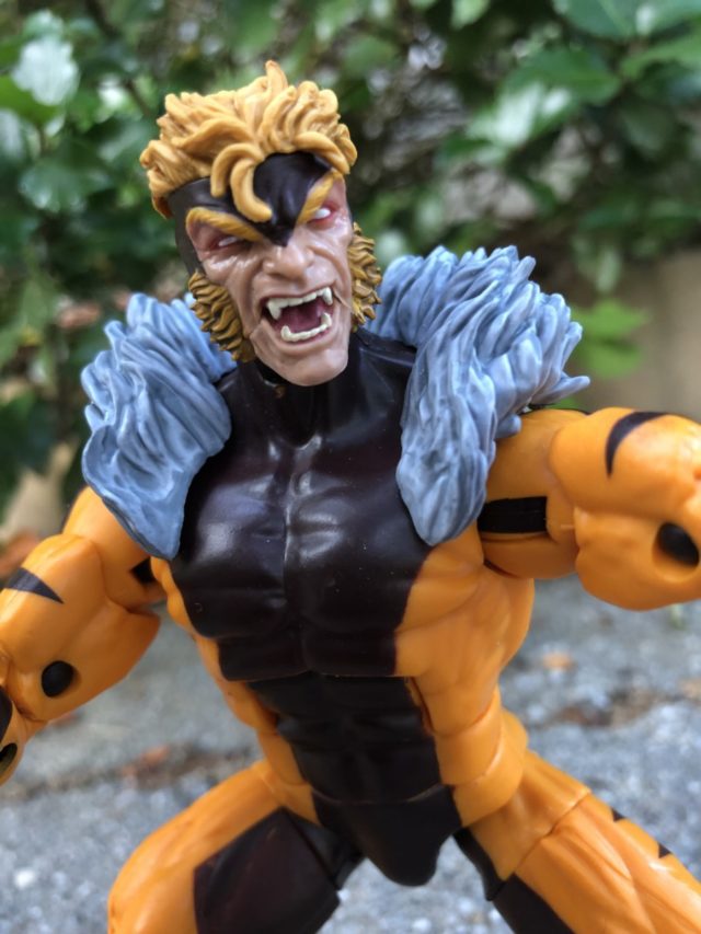 Close-Up of Marvel Legends Sabertooth Head Sculpt 2018 Hasbro