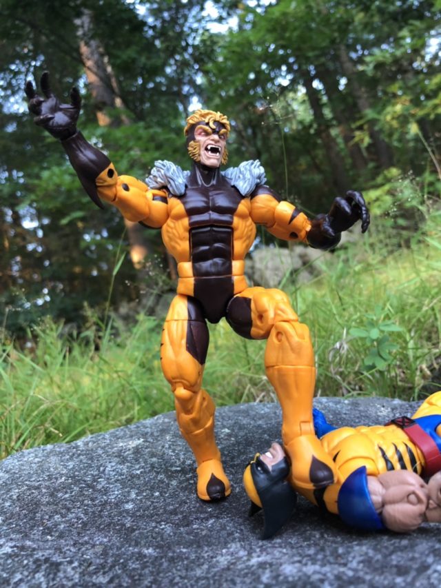 Sabertooth Kills Wolverine Marvel Legends Action Figure