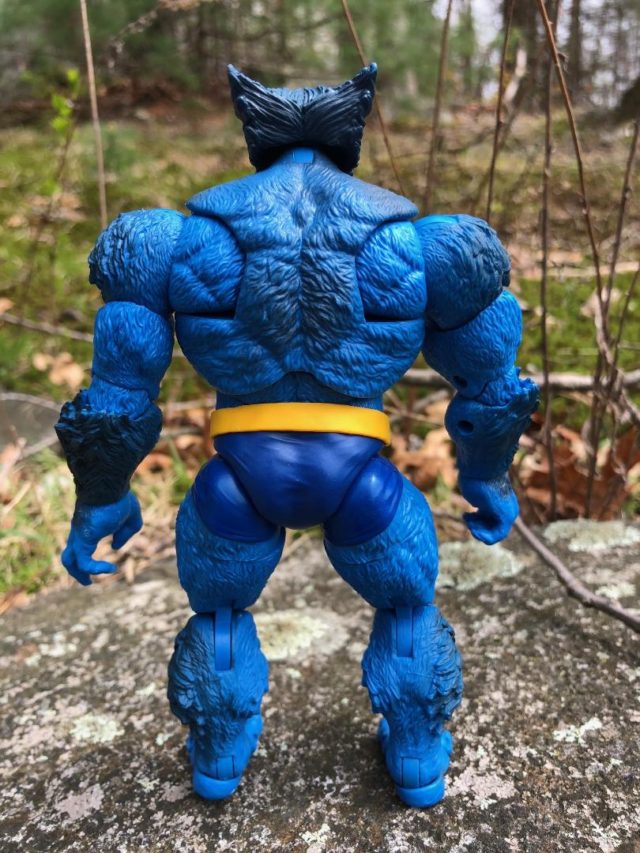 Back of Marvel Legends Beast Hasbro Figure