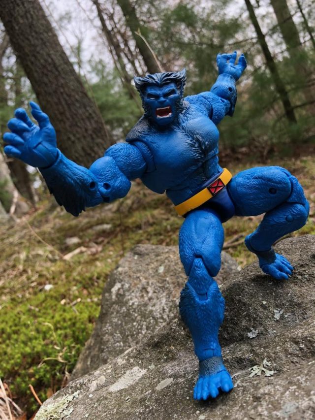 Hasbro Marvel Legends 2019 Beast X-Men Figure