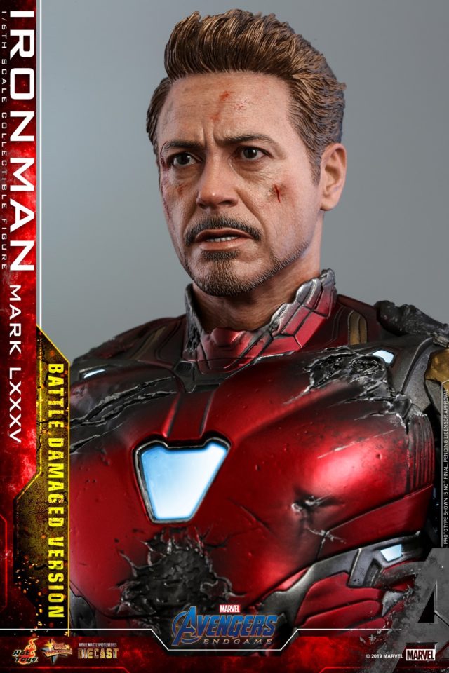 Hot Toys Robert Downey Jr. Final Battle Portrait Likeness