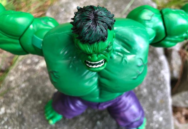 Overhead View of SDCC 2019 Exclusive Hasbro Hulk Legends Figure Hair