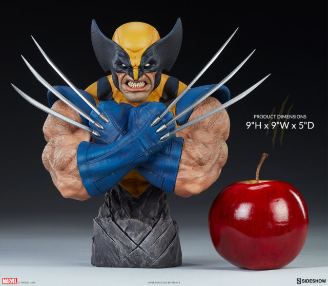  Scale Size Photo 9 Inches Wolverine Sideshow Bust