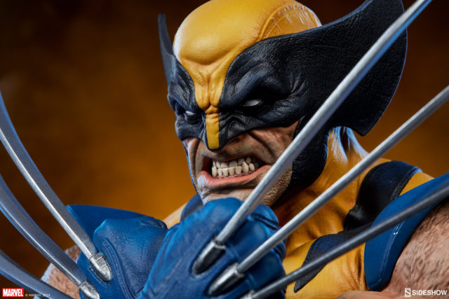  Sideshow Collectibles Wolverine Bust Close-Up