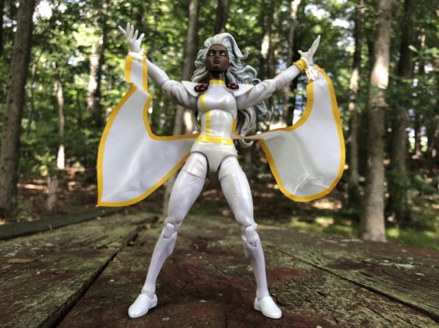 2019 Hasbro Marvel Legends Storm Jim Lee 6" Figure