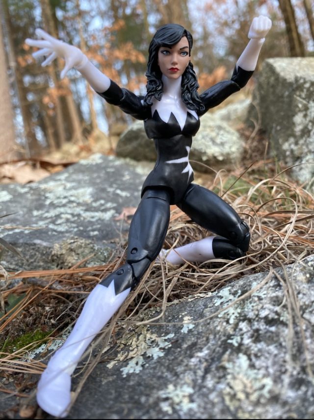 Hasbro Aurora Marvel Legends Six Inch Figure Alpha Flight