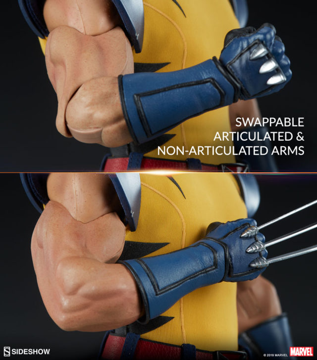 Sideshow Collectibles Tiger Stripe Wolverine Swappable Arms