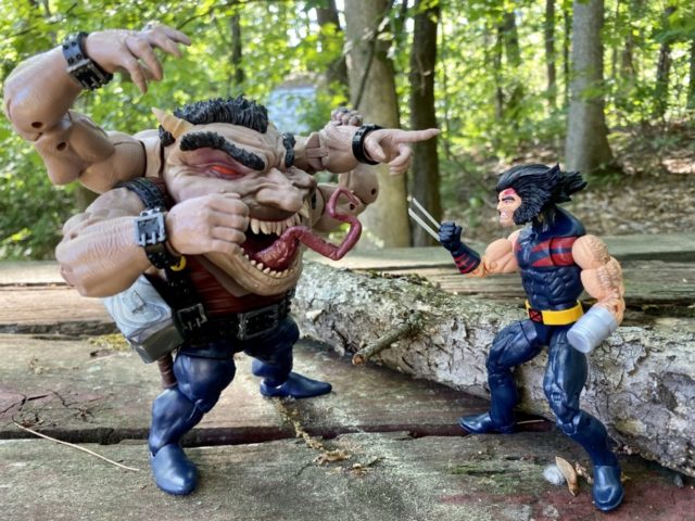 Sugar Man Legends BAF vs AOA Weapon X Wolverine 6" Figure