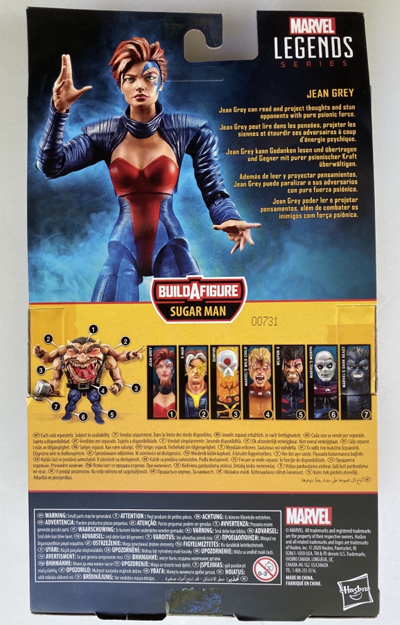 Box Back X-Men Marvel Legends Jean Grey Age of Apocalypse 6" Figure