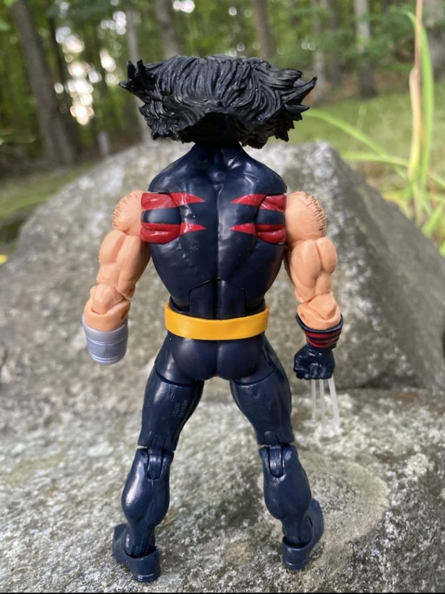 Back of Wolverine X-Men Age of Apocalypse Legends Hasbro Figure