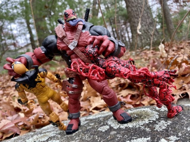 Venom Legends Venompool Build A Figure vs Carnage and Phage