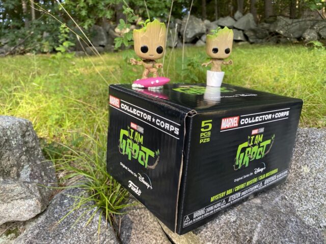 Funko I Am Groot Box Unboxing Spoilers Review