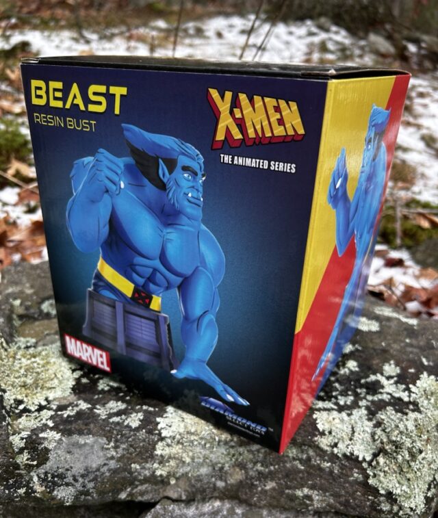 X-Men Animated Busts Beast Box Front DST