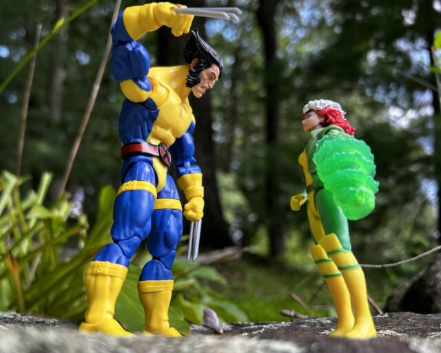 Scale Comparison Marvel Legends 6" Wolverine vs. 4" Rogue Figure