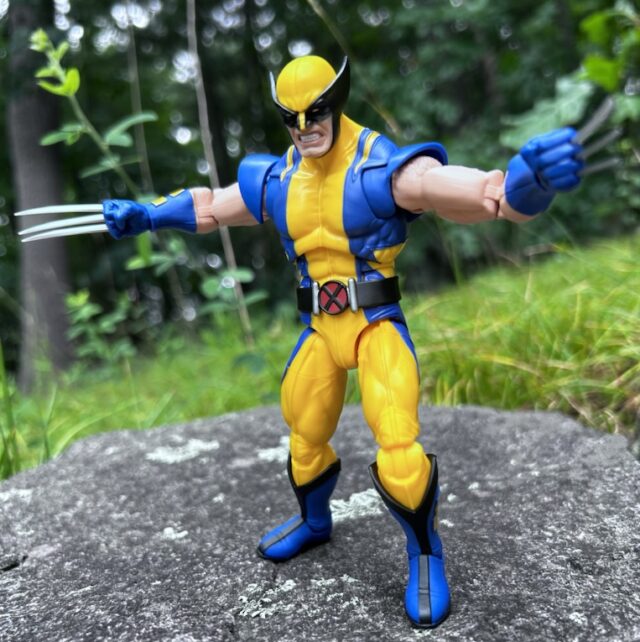 Marvel Legends Astonishing Wolverine Figure Review 85th Anniversary